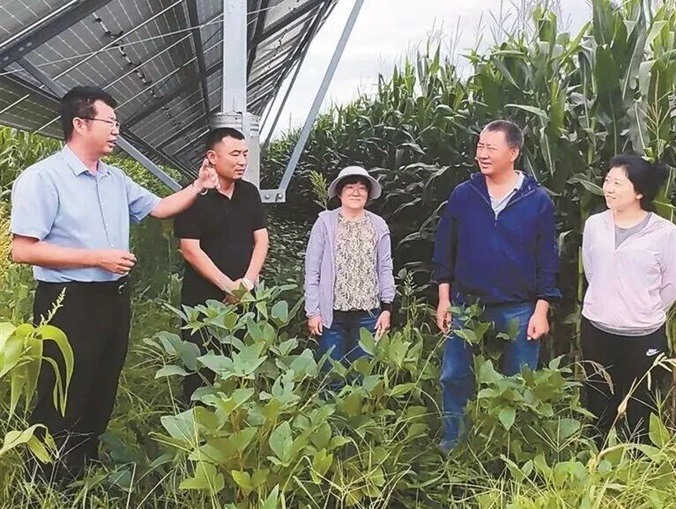 3媒体看阜检丨《检察日报》王秀英:“沙地变良田”梦想成现实 - 副本.jpg